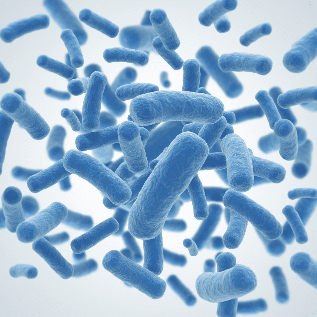 Vitamin K2, it's so important for our bones and more Nourish You